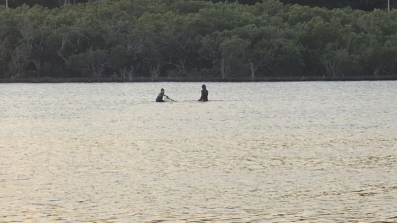 Two people wading through calm water with mangroves behind