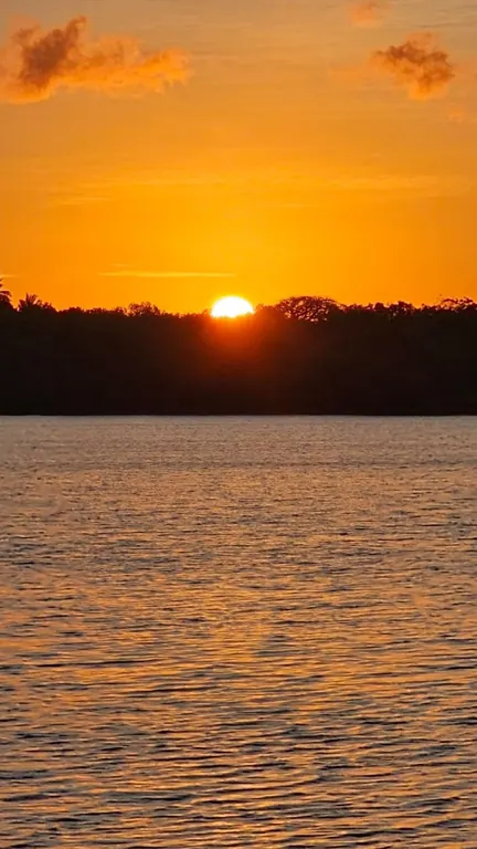 Bright orange sun setting behind trees across rippled water