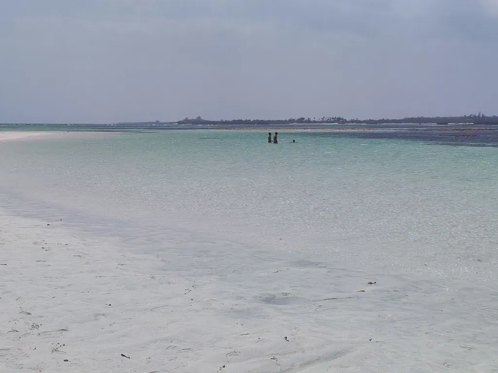 Pale tidal water with three people wading far from shore